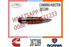 China Diesel Fuel Injector 2872544 2872289 4955080 4326959 2897320  Fuel Injector supplier