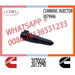 Fuel Injector 3079946 3411821 3087648 3018835 for cum-mins NTA855