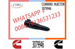 China Fuel Injector 3079946 3411821 3087648 3018835 for cum-mins NTA855 supplier