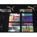 Glitter / Reflective Cad Cut Fashion Film DIY Projects Applied ECO Friendly
