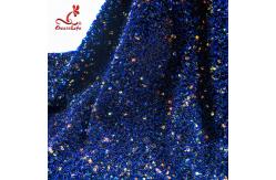 China SGS Laser Sequins Shinny Embroidered Lace Fabric With Elastic Mesh supplier