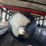 Marine Cargo Ship Airbag Rubber Balloon For Boat Launching for sale