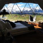 Steel Frame Transparent pvc Geodesic Garden house dome igloo tent for sale