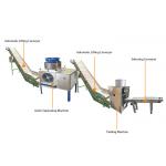 High Efficiency 200-300kg/H Automatic Garlic Peeling Production Line for sale