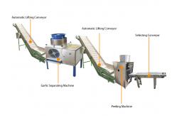 China 7kw Automatic Garlic Peeling Machine Production Line 2000kg/h capacity supplier