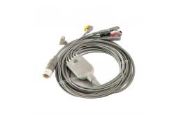 China PHiliph 5 Lead IEC ECG Cable Leadset Grabbers 989803143191 12Pins New Original supplier