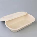 850ml 1000ml Compostable Sugarcane Container Disposable Take Away Lunch Box