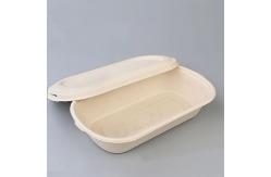 China 850ml 1000ml Compostable Sugarcane Container Disposable Take Away Lunch Box supplier