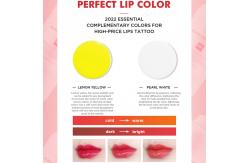 China Permanent Makeup Ink For Eyebrows Correction Base Pigment supplier