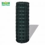 Holland 4.5mm 50x100mm Welded Wire Garden Fence for sale