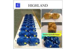 China High Quality Agricultural Machinery Tandem Hydraulic Pumps Cast Iron Overload Test supplier
