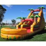 Multicolor Amusement Pool Full Printing Inflatable Water Slide for sale