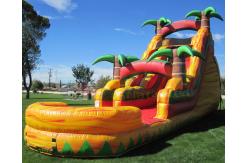 China Multicolor Amusement Pool Full Printing Inflatable Water Slide supplier