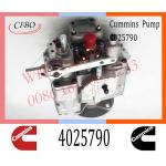 Diesel Injection For Cummins KTA19 PT Fuel Pump 4025790 4060178 4060286