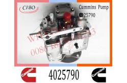 China Diesel Injection For Cummins KTA19 PT Fuel Pump 4025790 4060178 4060286 supplier