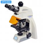 OPTO EDU A16.1062 Infinity Binocular Trinocular Led Fluorescent Microscope BG for sale