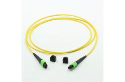 China Single Mode 2m MPO Optical Cable 12 Core Bundled 120N supplier