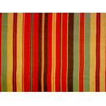 Tear - Resistant Printed Cotton Canvas With Multi Coloured Stripe for sale