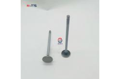 China E345C E345D E349D Excavator C13 Exhaust Valve 224-3030 2243030 EX Valve supplier