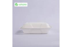 China Sustainable Compostable Sugarcane Bagasse Clamshell Takeaway Containers 8 Inch supplier