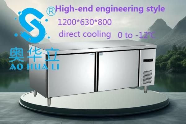 High End Under Counter Fridge Freezer Rust Prevention Keeping Flesh For Kitchen