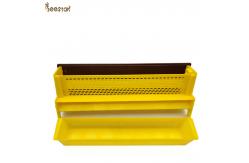 China Flexible Beehive Accessories Plastic Pollen Trap Tray Entrance Pollen Collector supplier