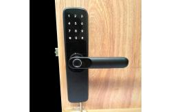 China 50mm Ttlock Electronic Digital Door Lock Smart Deadbolt Door Lock supplier