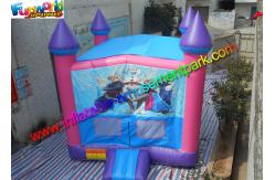 China CE Certification Frozen Commercial Bouncy Castles Inflatable Bouncer For Parks supplier