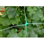 Polyethylene Agricultural Climbing Plant Support Mesh Green Color Lightweight for sale