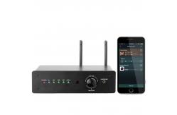 China Dual Channel WiFi Bluetooth Stereo Receiver 100W High Power Two Channels Audio Amplifier supplier