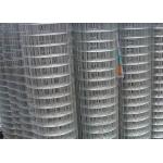 Hot Dipped Galvanized Welded Wire Mesh 10-30m Length Per Roll For Farm Fence for sale
