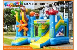 China Multiplay Fairytale Inflatable Bouncer Slide For Kids / Blow Up Bouncy Castle supplier
