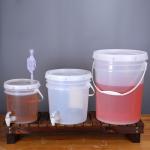 Eco-Friendly 5L Capacity Brewery Equipment Wine Barrels Plastic Enzyme Bucket Beer Keg With Tap for sale