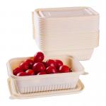 Takeout Fast Food Biodegradable Container Environmentally Friendly Bowls With Lid for sale