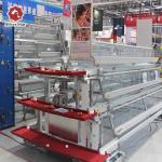 Hot-Galvanized Battery Cage Farming Equipment For Egg Layers With Automatic Chicken Cages And Egg Collection Disinfe for sale