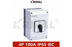 China 100A IP65 Industrial Cam Change-over Switch With Lock IEC standard supplier