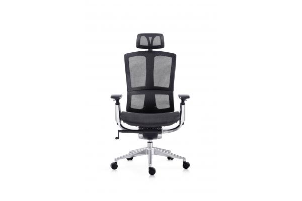 Executive Ergonomic High Back Swivel Chair With Lift Armrest