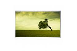 China P215HVN01.0 21.5 inch TFT LCD Screen for Digital Signage supplier