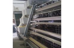 China 3-8 Tiers Hens Farm Automatic Poultry Feeding System And Drinker SONCAP supplier