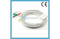 China Schiller Lux 5 lead ECG Cable with leadwires supplier