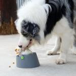Pet Slow Food Bowl Dog Lick Pad Puzzle Leaky Ball Toy for sale