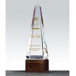 Individualized Custom Resin Trophies Crystal And Solid Wood Combination Trophy