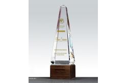 China Individualized Custom Resin Trophies Crystal And Solid Wood Combination Trophy supplier