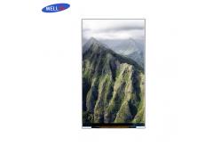 China 3.97 Inch IPS LCD Display High Definition 480x800 Matrix Free Viewing supplier