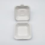 6 Inch Biodegradable Take Out Containers , White Biodegradable Clamshell Packaging for sale
