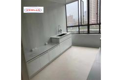 China Standard Chemistry Lab Workbench Organize Your Experiments with 2 Compartments supplier