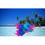 Girls Boys Swimmable Mermaid Tails / Kids Mermaid Swimsuits Princess Costumes for sale
