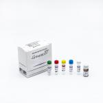 Nucleic Acid Detection Rapid PCR Test Kit With ISO 13485 Certification for sale