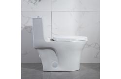 China Round Front One Piece Skirted Toilet Dual Flush Elongated Fully Skirted CUPC supplier