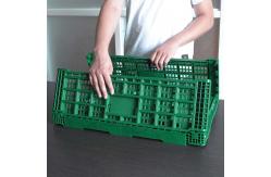 China Green Collapsible Fruit Plastic Crates Portable For Home Shopping supplier